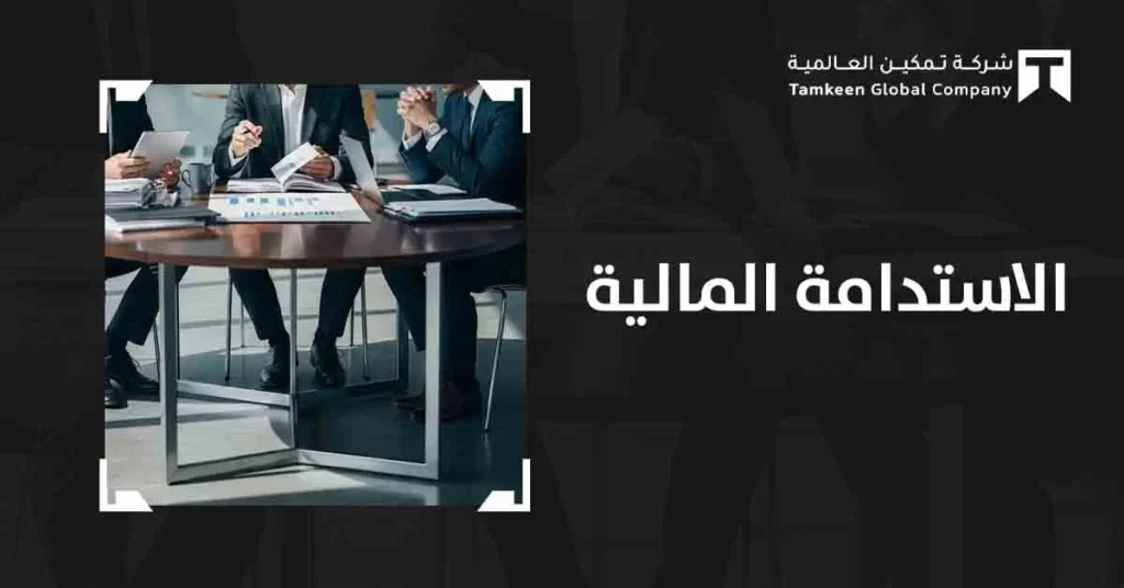 الاستدامة المالية: دليلك لبناء شركة مستقرة وقادرة على النمو
